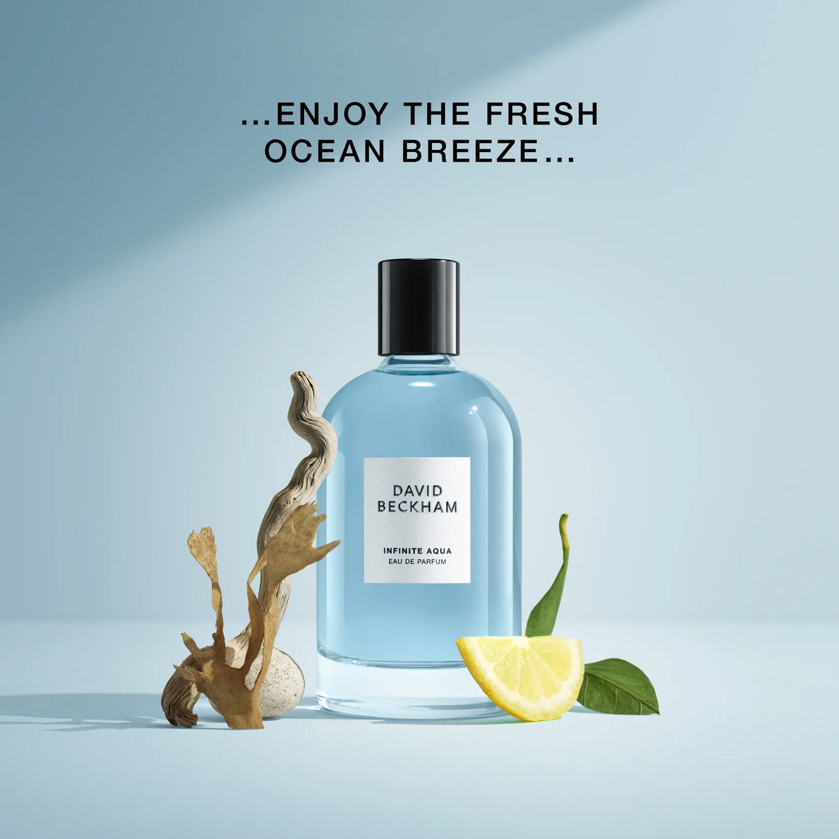 David Beckham Infinite Aqua Eau De Parfum 100ml