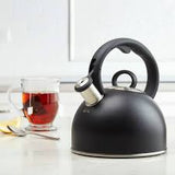 2qt Stovetop Steam & Soothe Teakettle - Black