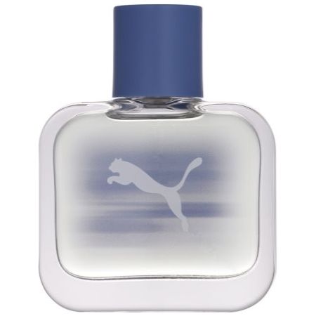 Puma Flowing Tester Eau De Toilette - AGSWHOLESALE